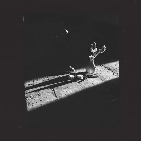 Amnesia single cover artwork